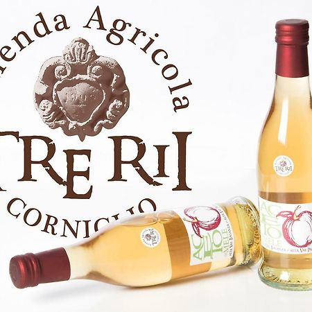 Bed and Breakfast Agricola Tre Rii Sidreria Corniglio Esterno foto